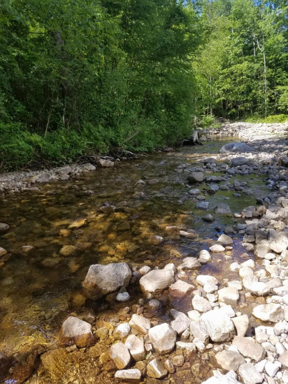 Toll Road Inn Image 6